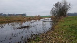 Nieuws afbeelding